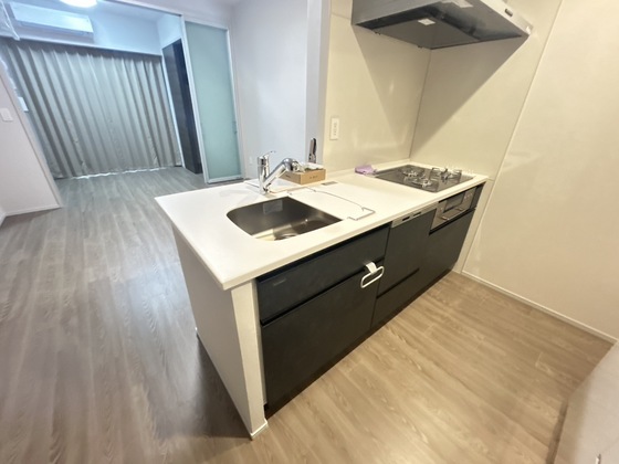 キッチン　※別号室の写真です