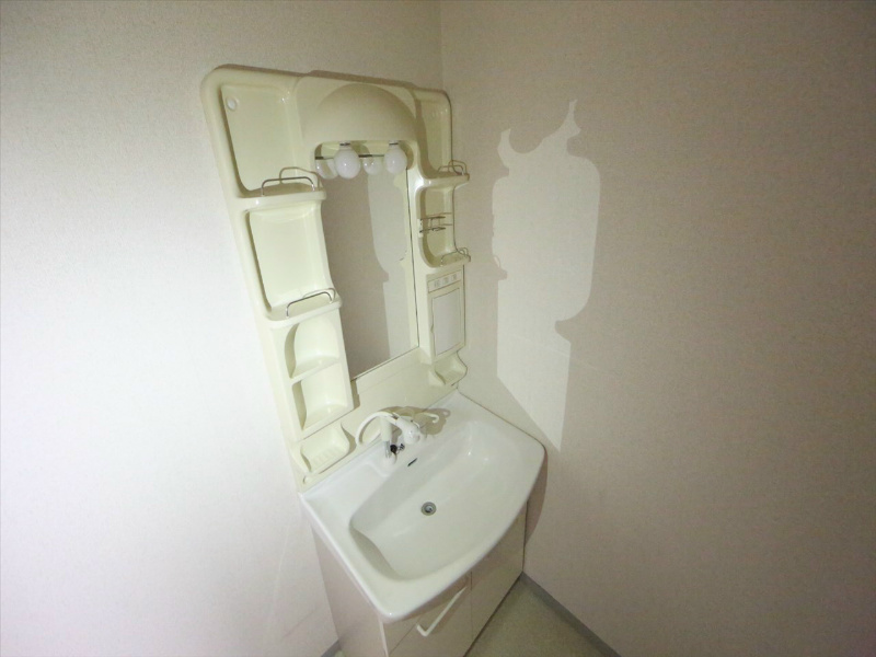 洗面設備　脱衣所　独立洗面台（シャンプードレッサー付）収納スペース有