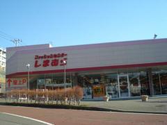 その他　ファッションセンターしまむら二宮店（その他）まで497m