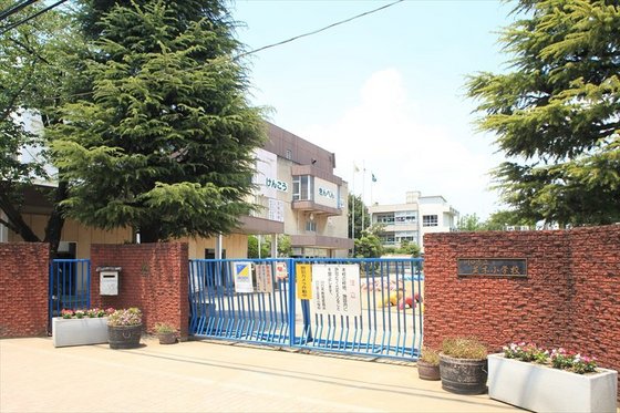 小学校　川口市立並木小学校（小学校）まで356m