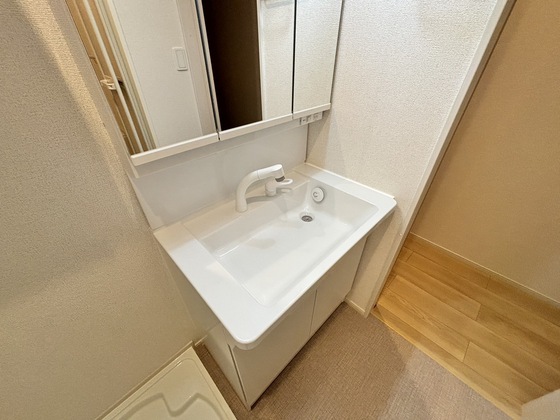 洗面設備　洗髪洗面化粧台（同仕様タイプ）