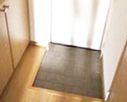 玄関　同仕様