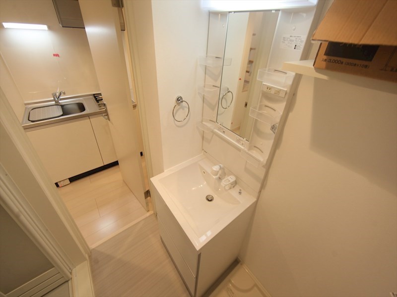 洗面設備　脱衣所　独立洗面台（シャンプードレッサー付）室内洗濯機置き場