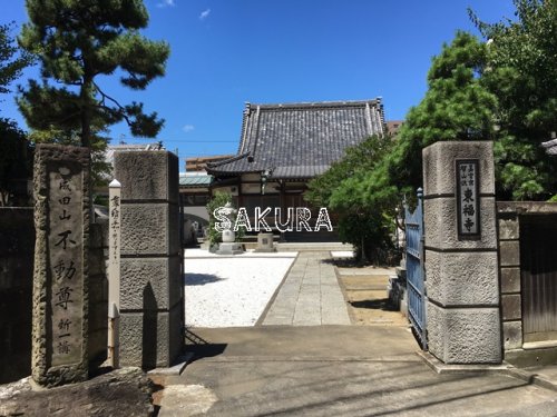 その他　東福寺（その他）まで374m