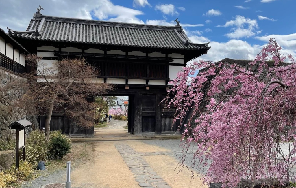 公園　小諸城址 懐古園（公園）まで1125m