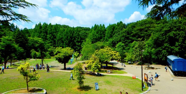 公園　鋼管通五丁目緑地（公園）まで528m