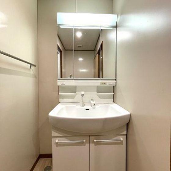 洗面設備　※写真は別号室のものですので現状優先とさせていただきます
