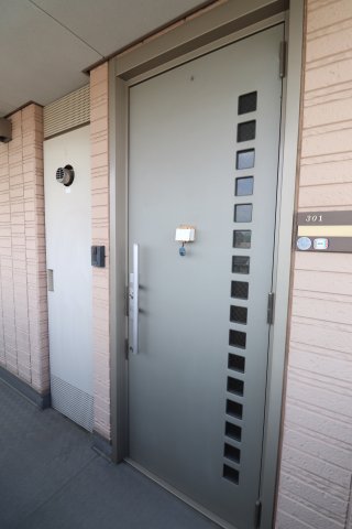 玄関　同物件、同間取り、別号室の写真です