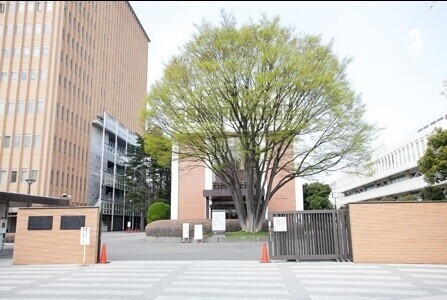 幼稚園・保育園　東京家政大学附属みどりケ丘幼稚園（幼稚園・保育園）まで803m