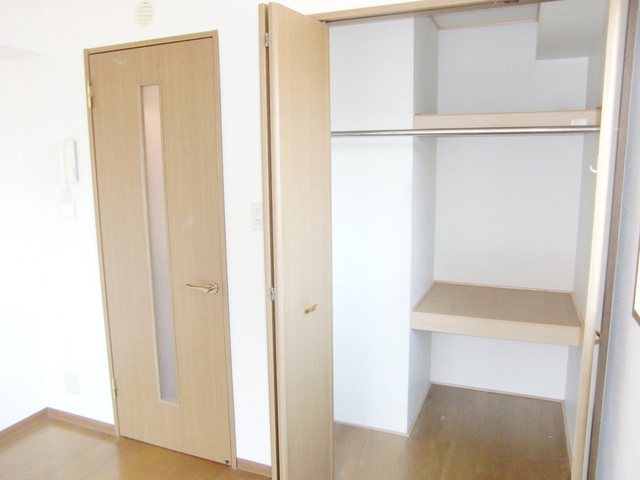 収納　参考写真（当建物別部屋のものです）