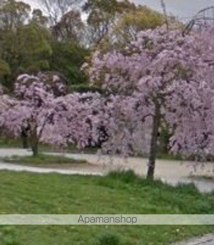 公園　大仙公園（公園）まで1225m