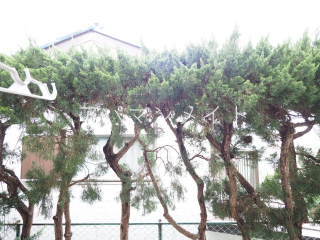 眺望　眺望です