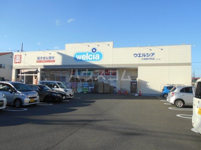 ドラックストア　ウエルシア小田原中町店（ドラッグストア）まで447m