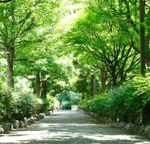 公園　洲崎川緑道公園（公園）まで290m