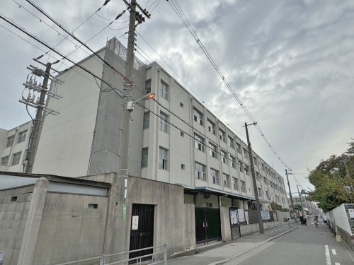 小学校　大阪市立加美北小学校（小学校）まで597m