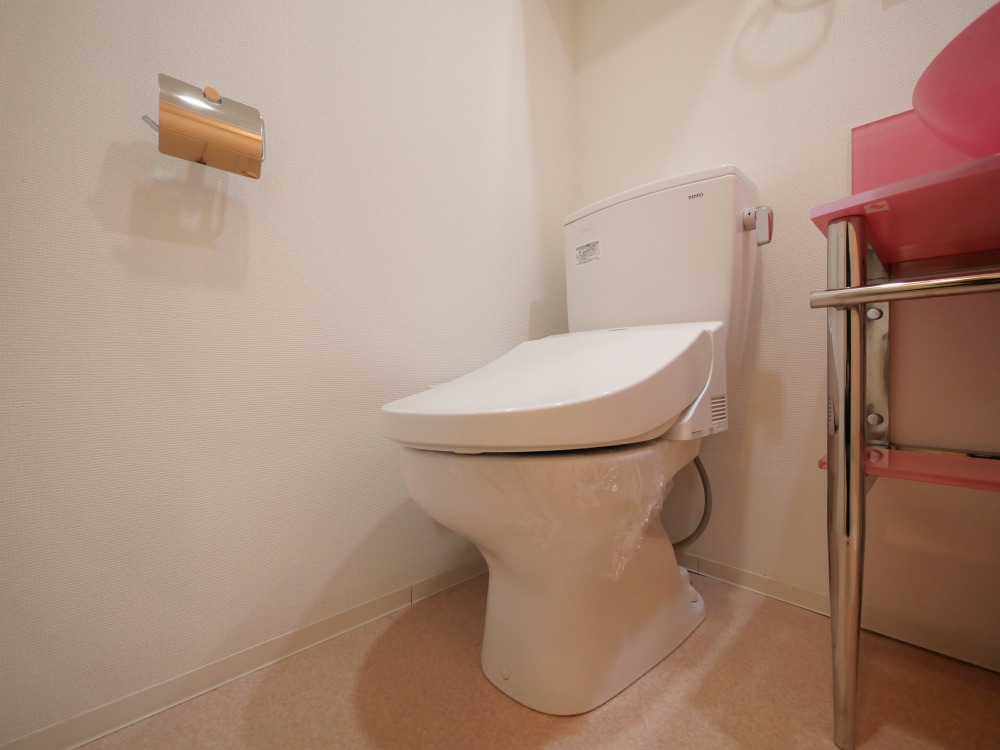 トイレ　トイレも気になるポイント