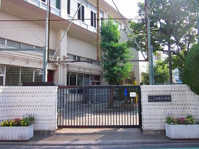 小学校　目黒区立向原小学校（小学校）まで482m