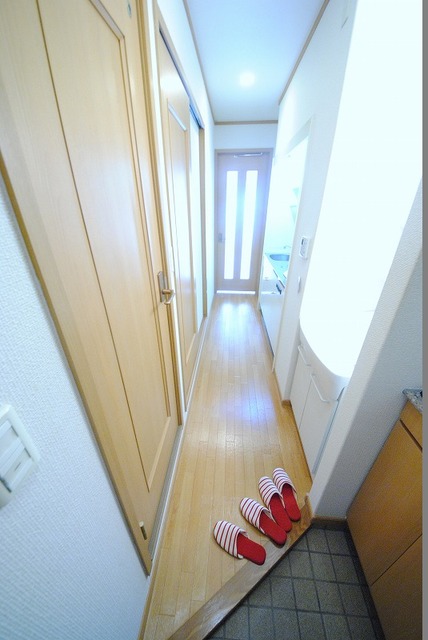 玄関　写真は１０２号室