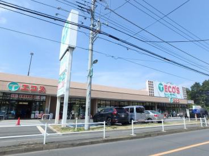スーパー　エコス TAIRAYA(たいらや) 小平店（スーパー）まで298m