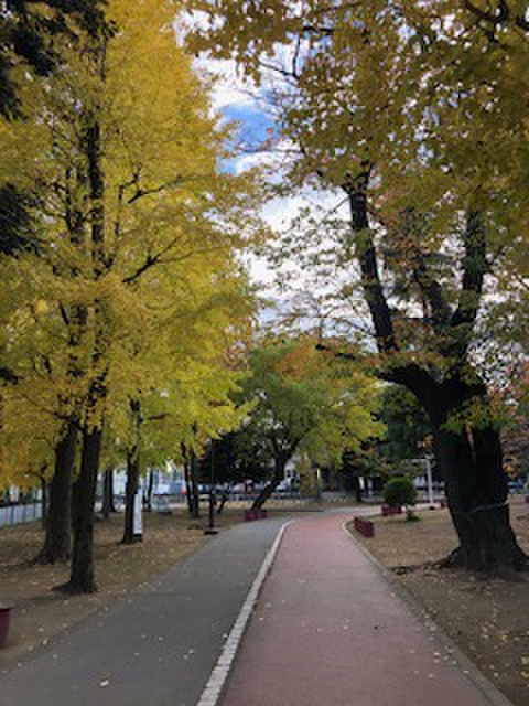 公園　青木町公園（公園）まで200m