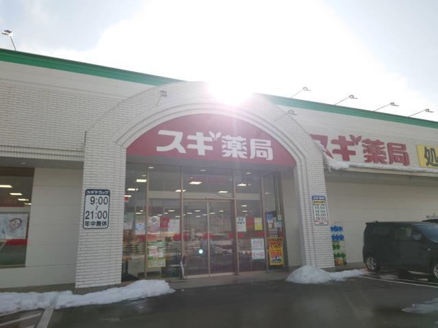 ドラックストア　スギ薬局新湊店（ドラッグストア）まで314m