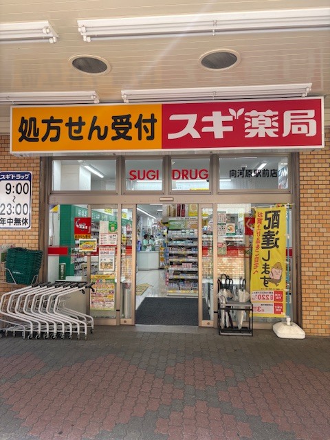 ドラックストア　スギ薬局向河原駅前店（ドラッグストア）まで139m