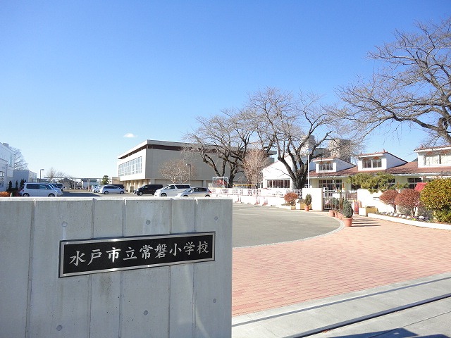 小学校　水戸市立常磐小学校（小学校）まで781m
