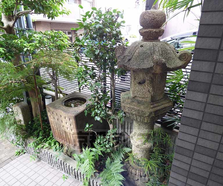 庭