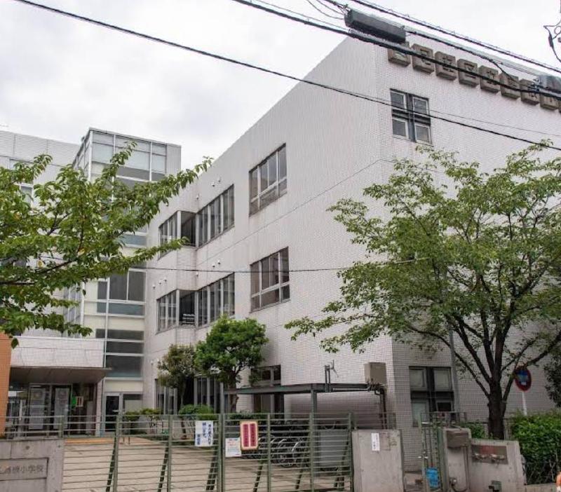 小学校　島根小学校（小学校）まで220m