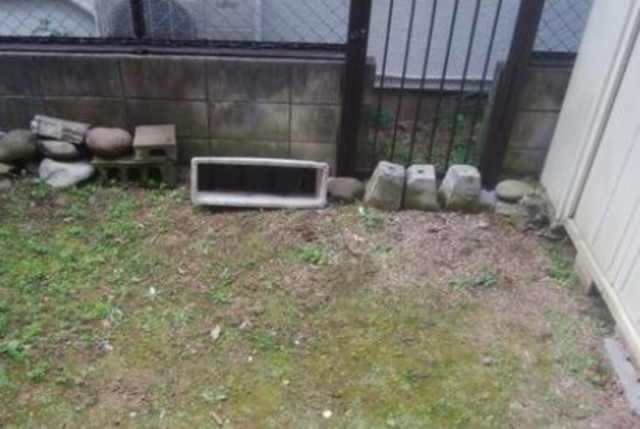 庭