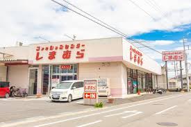 ショッピングセンター　ファッションセンターしまむら南桜井店（ショッピングセンター）まで641m