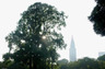 公園　新宿御苑(大木戸門)（公園）まで802m