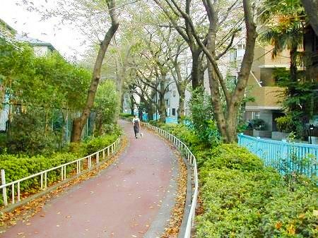 公園　緑道（公園）まで653m