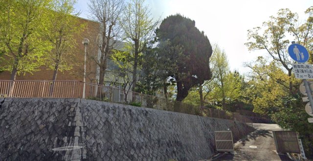 大学・短大　頌栄短期大学（大学・短大）まで1905m