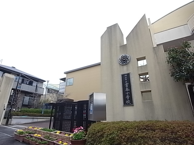 小学校　宮本小学校（小学校）まで146m