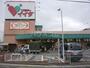 スーパー　コモディイイダ 南鳩ヶ谷店（スーパー）まで1144m
