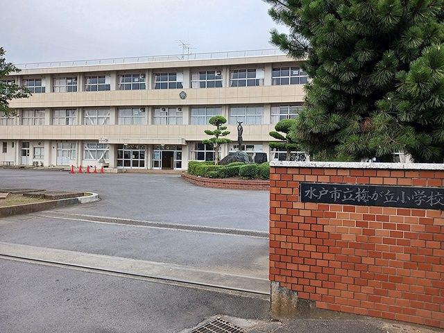 小学校　水戸市立梅が丘小学校（小学校）まで939m