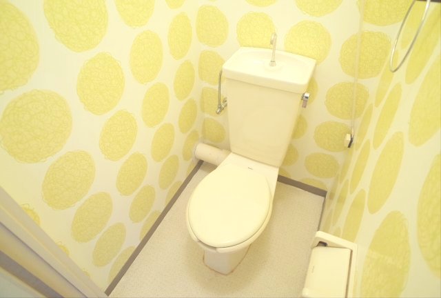 メゾン甲南のトイレ写真