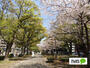 公園　大通り公園（公園）まで660m