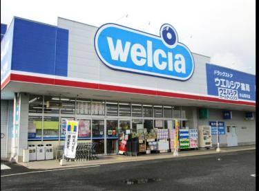 ドラックストア　ウエルシア足立新田店（ドラッグストア）まで903m