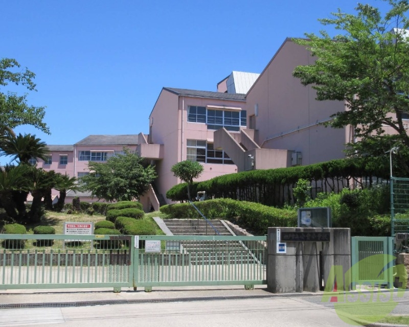 小学校　神戸市立小寺小学校（小学校）まで3926m