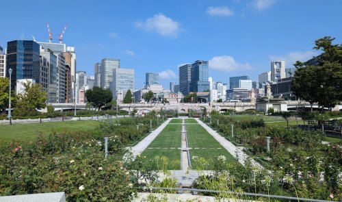 公園　中之島公園（公園）まで274m