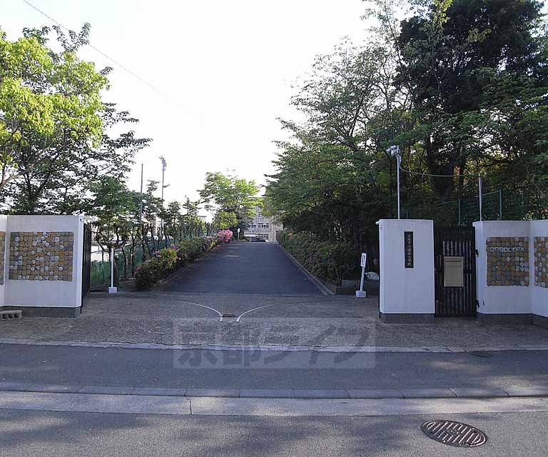 小学校　新林小学校（小学校）まで450m