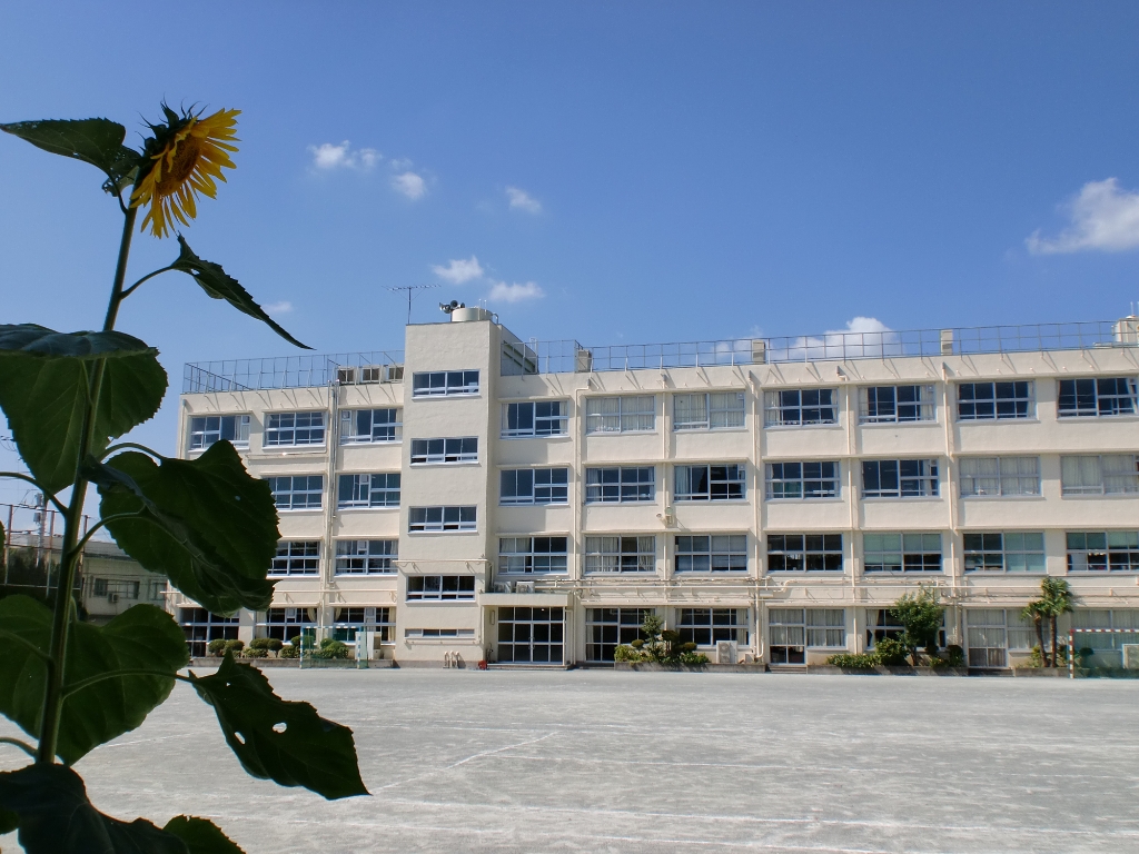 中学校　世田谷区立太子堂中学校（中学校）まで936m