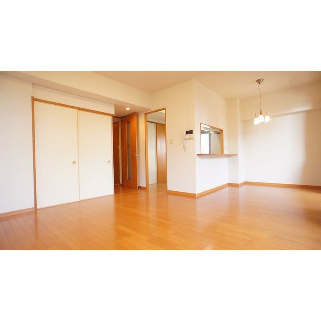 居室・リビング　同仕様タイプ　※現況優先となります。