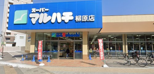 スーパー　スーパーマルハチ 柳原店（スーパー）まで310m