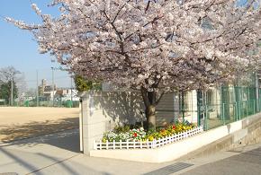 小学校　神戸市立福住小学校（小学校）まで200m