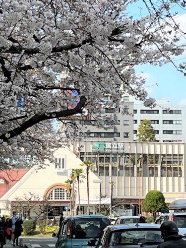 国立サンハイツの周辺写真