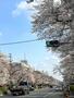 その他　大学通り（その他）まで291m