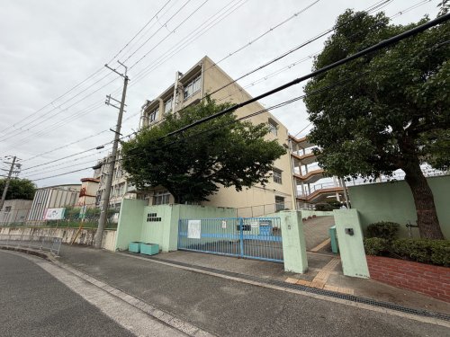 中学校　豊中市立第十七中学校（中学校）まで308m